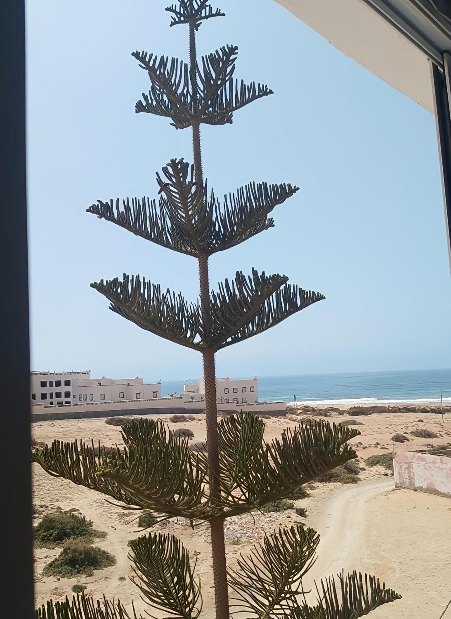فندق Tildi Surf House إمسوان المظهر الخارجي الصورة